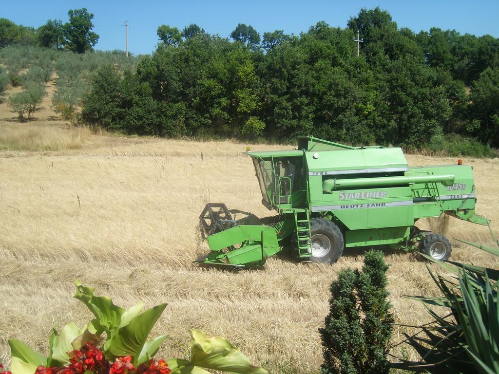 הוילה Giano dellʼUmbria Fattoria Del Quondam מראה חיצוני תמונה
